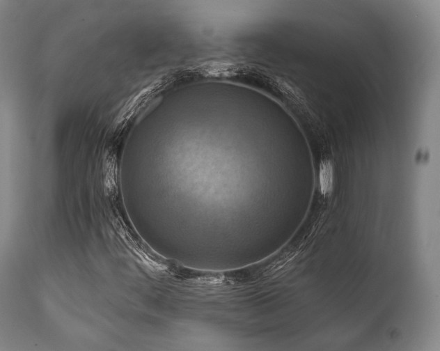 X0000112031444200908031425