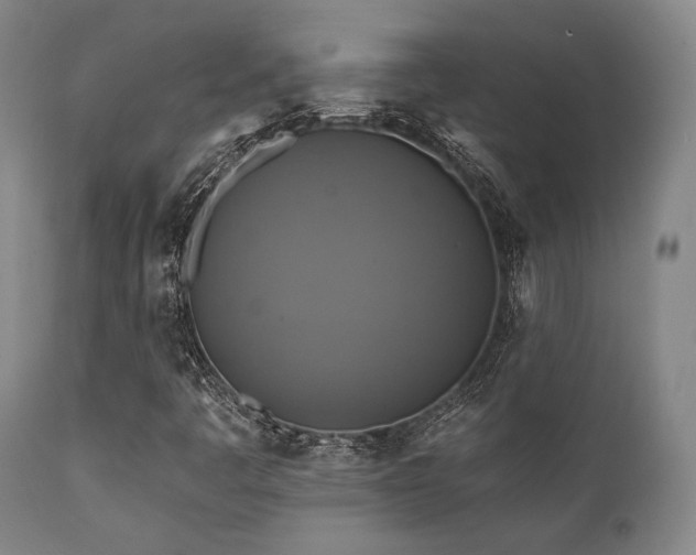 X0000112031445200908031425