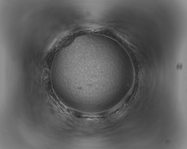 X0000112031447200908031425