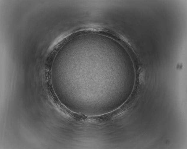 X0000112031448200908031425