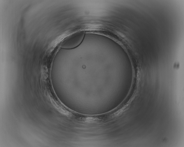 X0000112031449200908031425