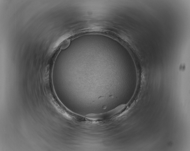 X0000112031450200908031425