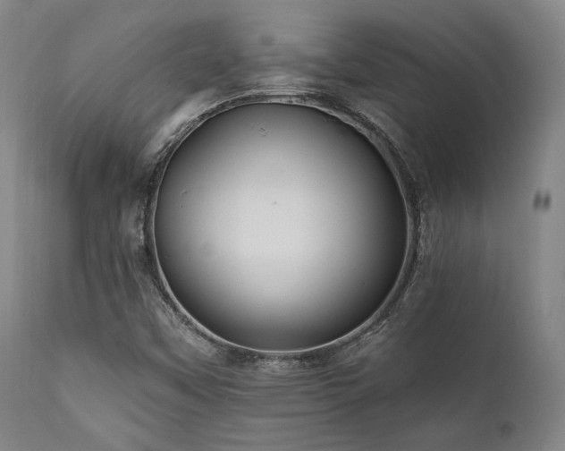 X0000112031451200908031425