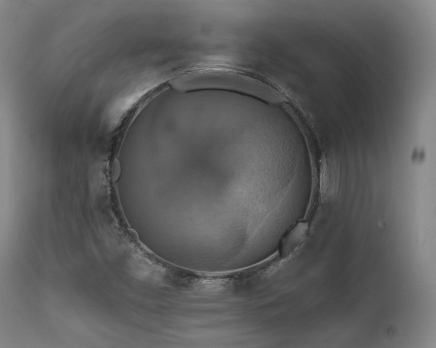 X0000112031453200908031424