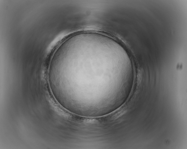 X0000112031454200908031424