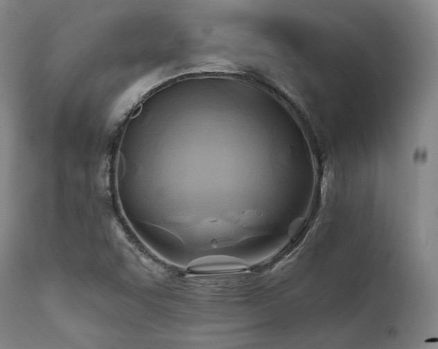 X0000112031455200908031424