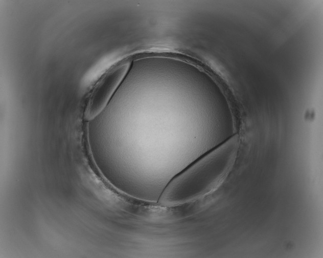 X0000112031456200908031424