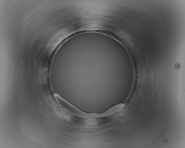 X0000112031457200908031424