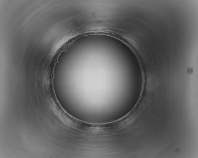 X0000112031458200908031424