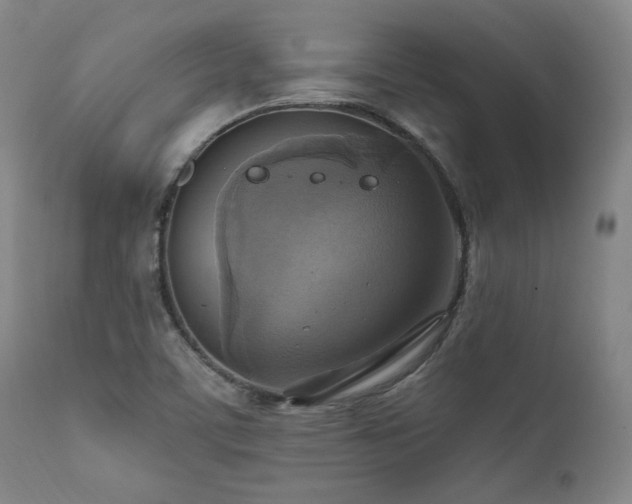 X0000112031459200908031424