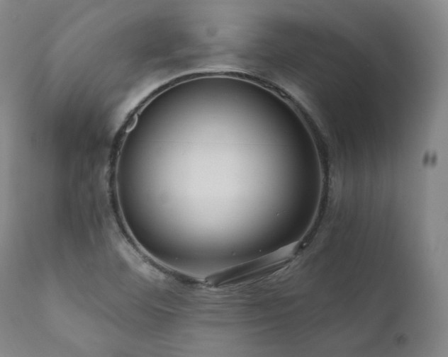 X0000112031460200908031424