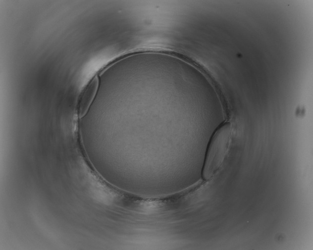 X0000112031461200908031424