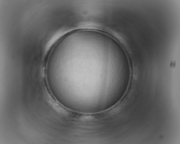 X0000112031462200908031424