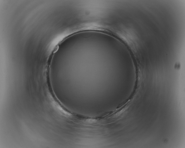 X0000112031463200908031424