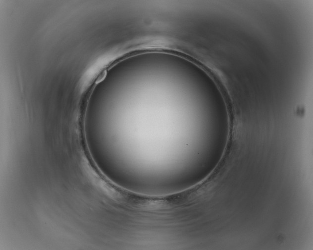 X0000112031464200908031424