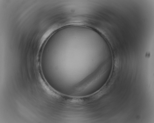 X0000112031466200908031424