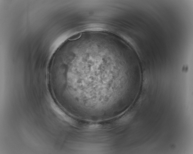 X0000112031467200908031424