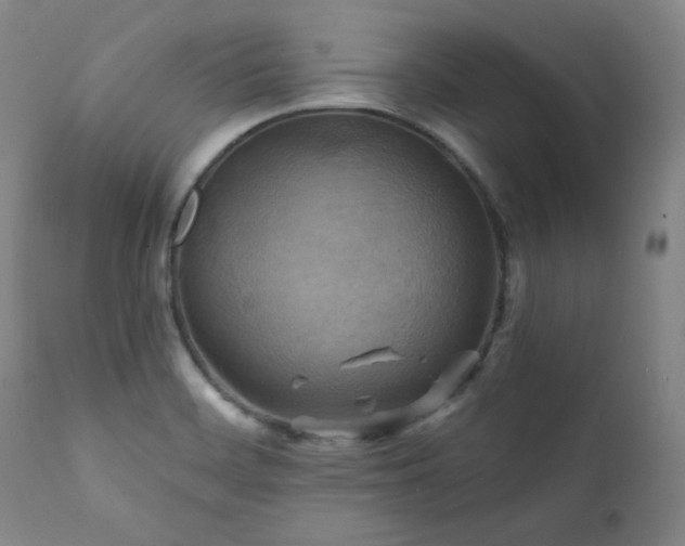X0000112031468200908031424