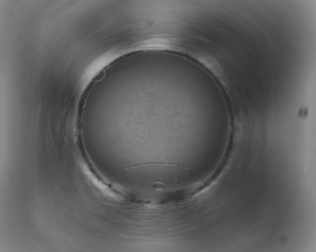 X0000112031469200908031424