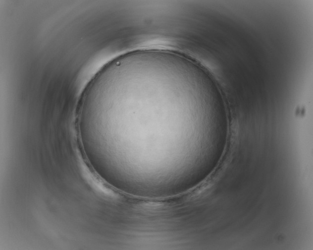 X0000112031470200908031424