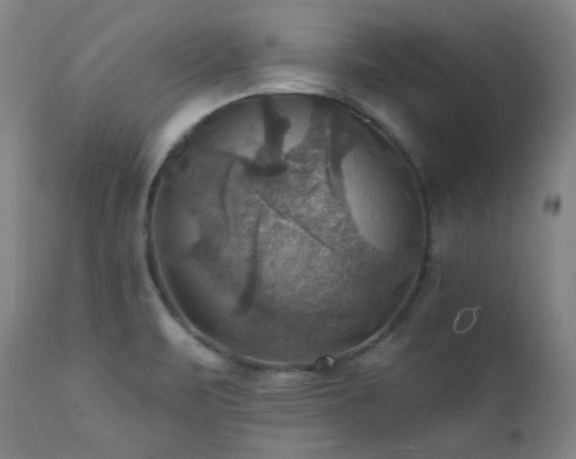 X0000112031471200908031424