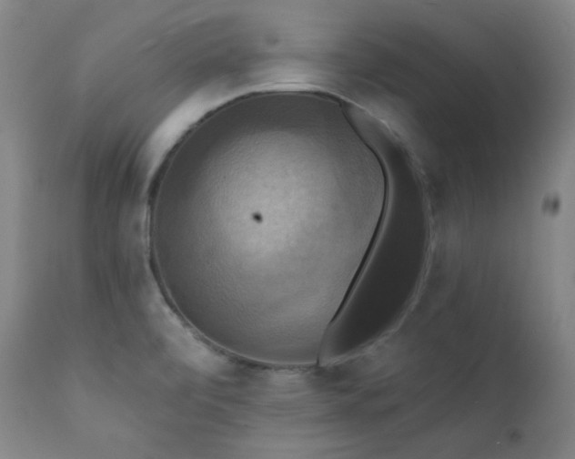 X0000112031472200908031424