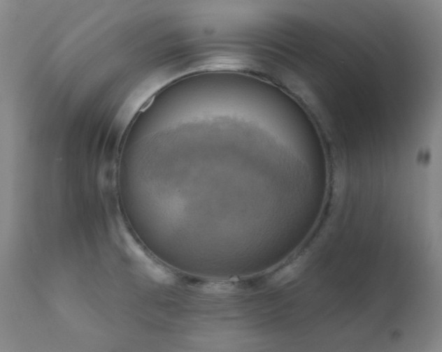 X0000112031473200908031424
