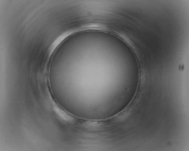 X0000112031474200908031424