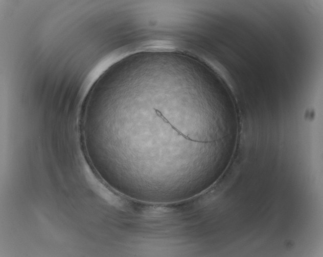X0000112031475200908031424