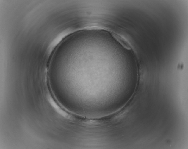 X0000112031476200908031424