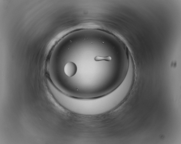 X0000112031477200908031424