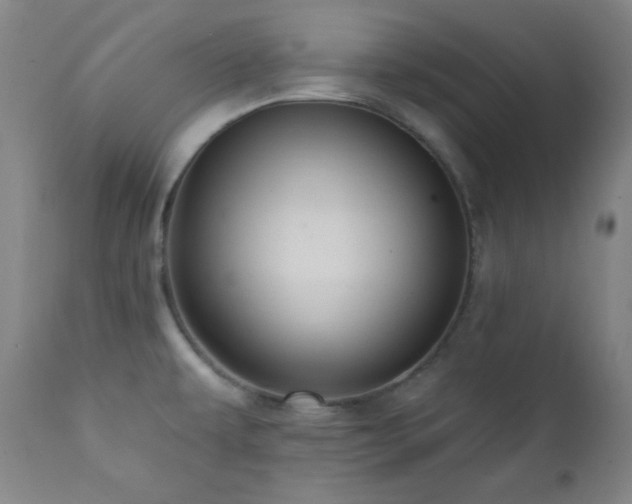 X0000112031479200908031424