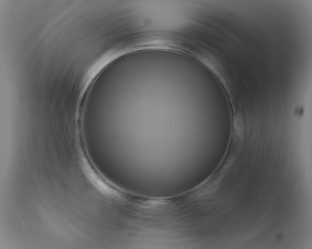 X0000112031482200908031424