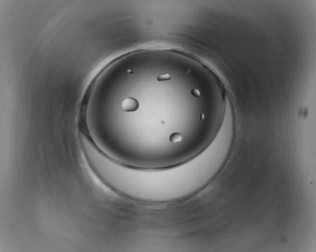 X0000112031484200908031424