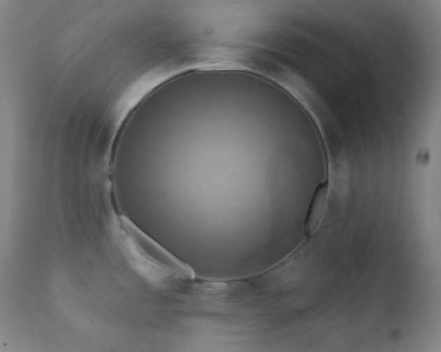 X0000112031485200908031424