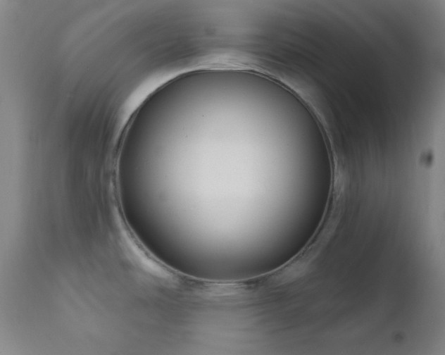 X0000112031486200908031424