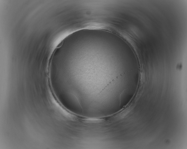 X0000112031487200908031424