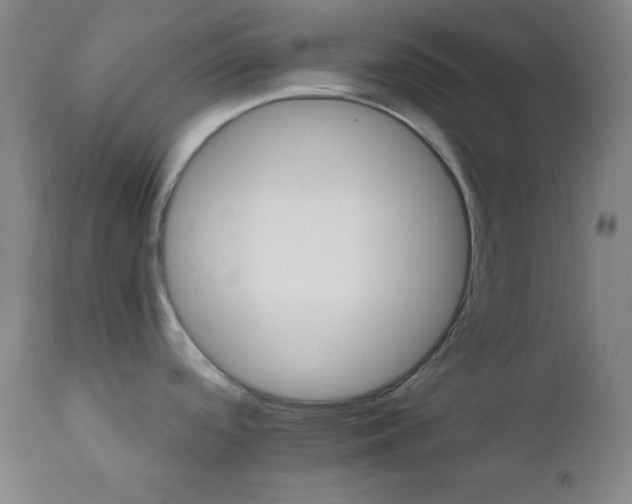 X0000112031488200908031424