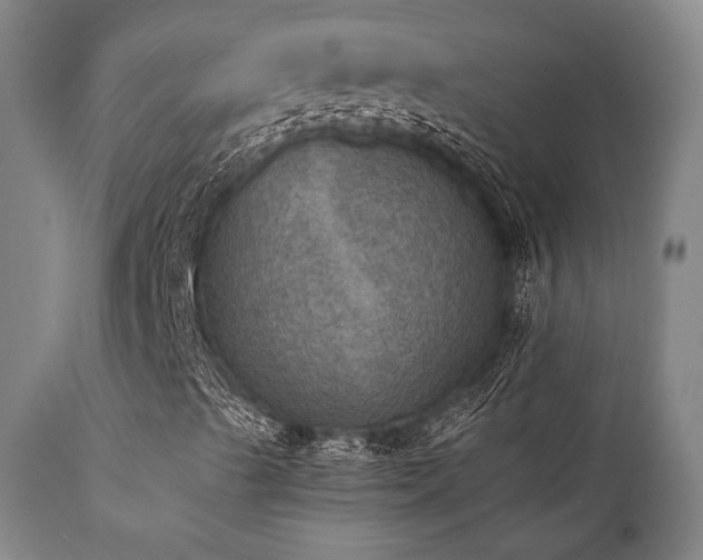 X0000112031489200908031423