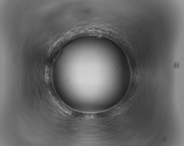 X0000112031490200908031423