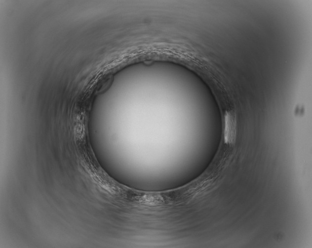 X0000112031491200908031423