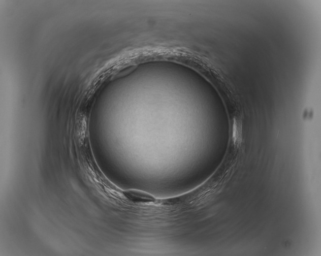 X0000112031492200908031423
