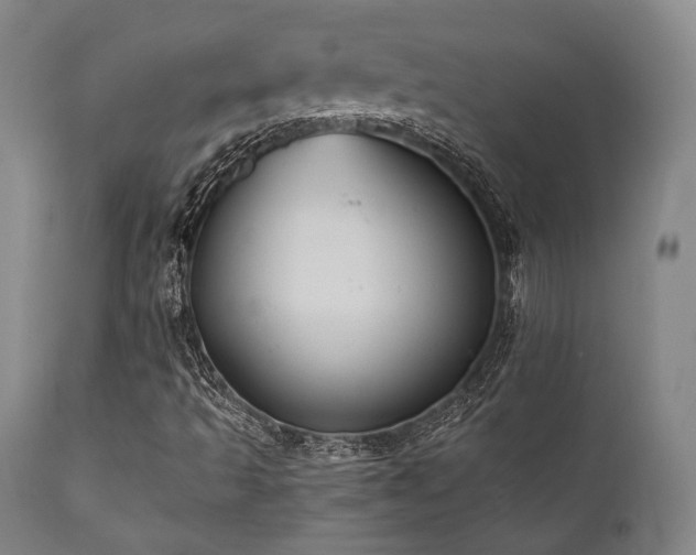 X0000112031493200908031423
