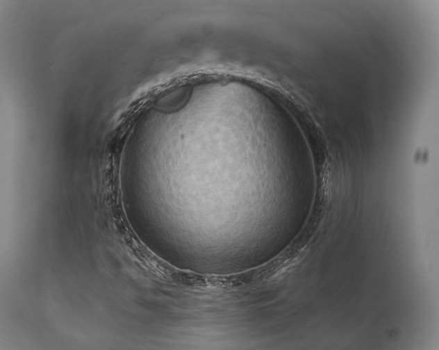 X0000112031494200908031423