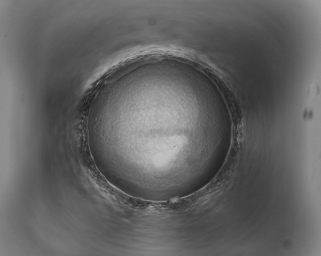 X0000112031496200908031423