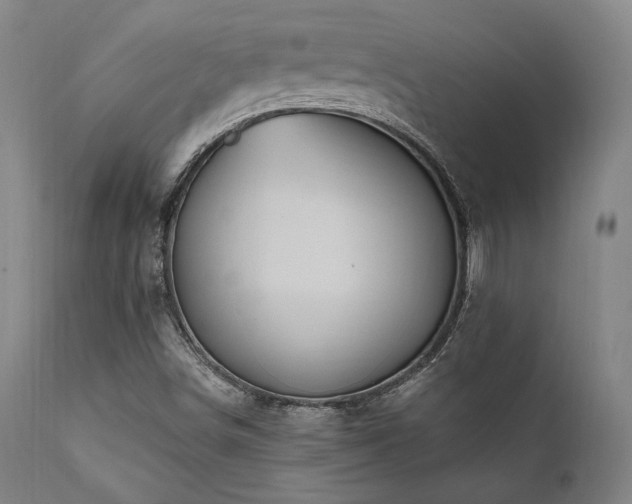 X0000112031498200908031423