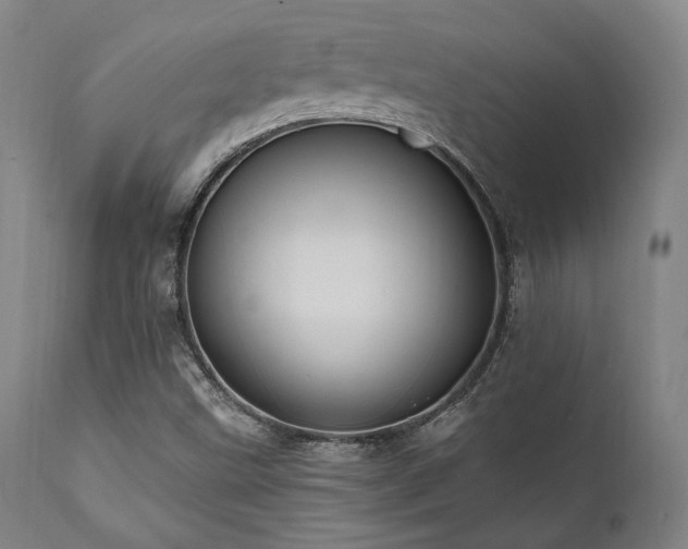 X0000112031499200908031423