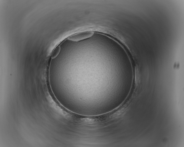 X0000112031500200908031423