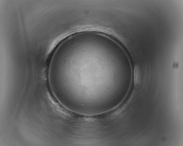 X0000112031501200908031423