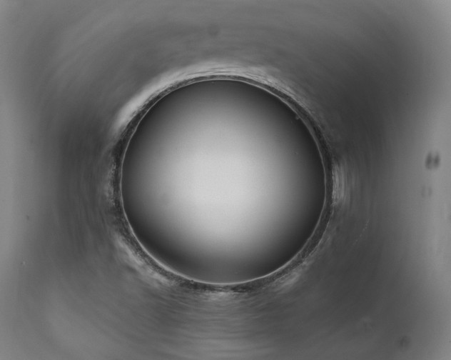 X0000112031502200908031424